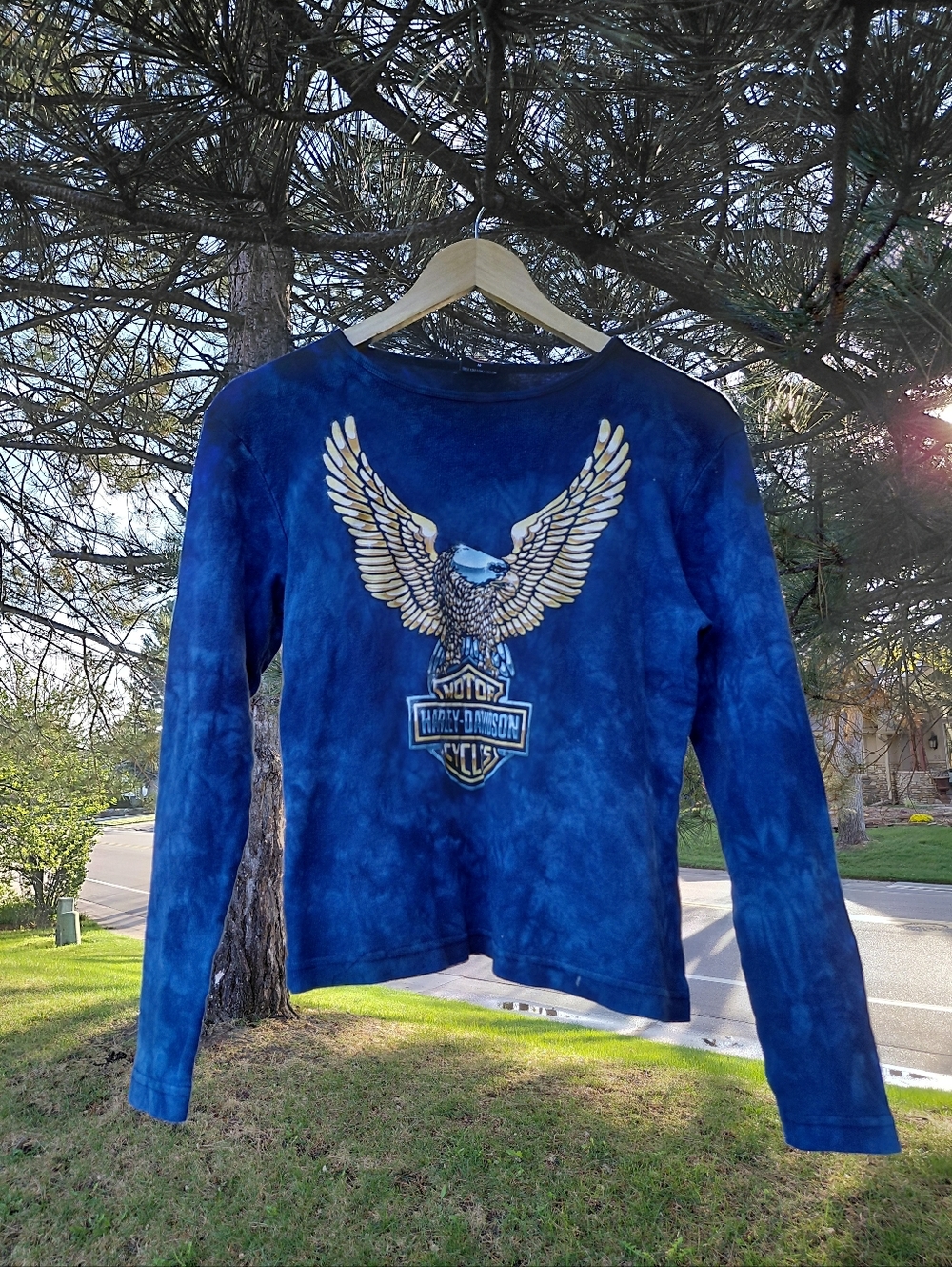 Harley-Davidson Navy Blue Eagle Graphic Long Sleeve Tee